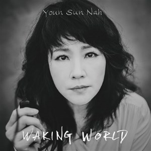 Waking World (cover)